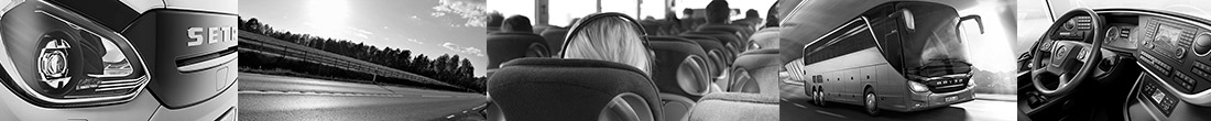 AnyBus24.com - Аренда автобусов и микроавтобусов с водителем